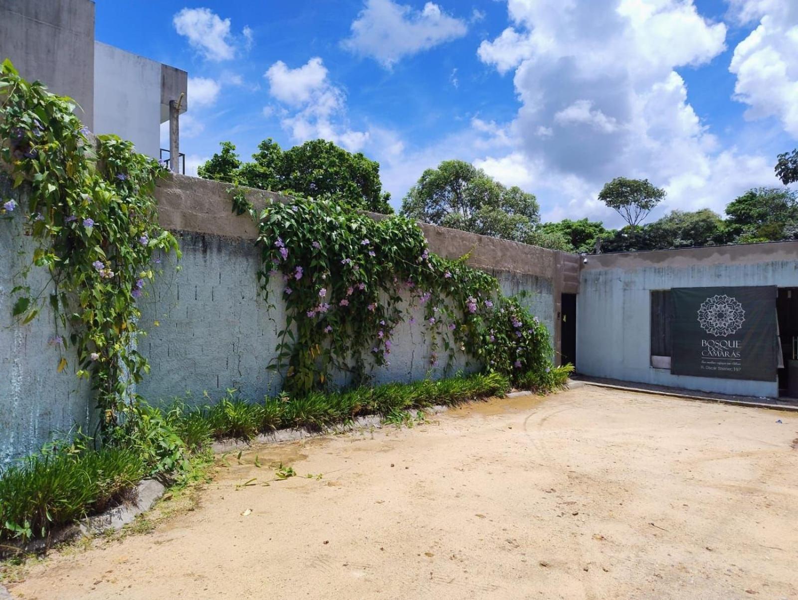 Apartment Flat Terreo Em Meio A Natureza